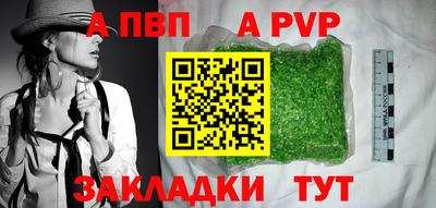 шишки Дубна