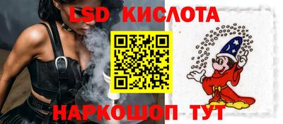 шишки Дубна