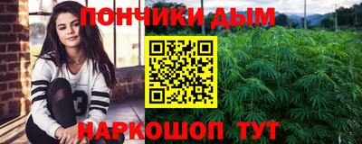 шишки Дубна