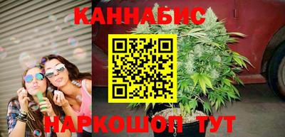 шишки Дубна