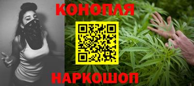 шишки Дубна