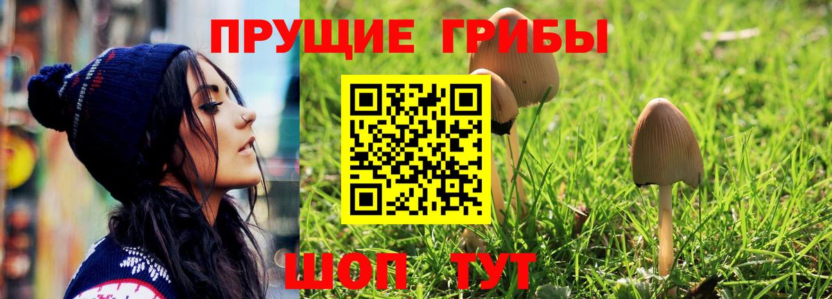 Псилоцибиновые грибы GOLDEN TEACHER Ликино-Дулёво