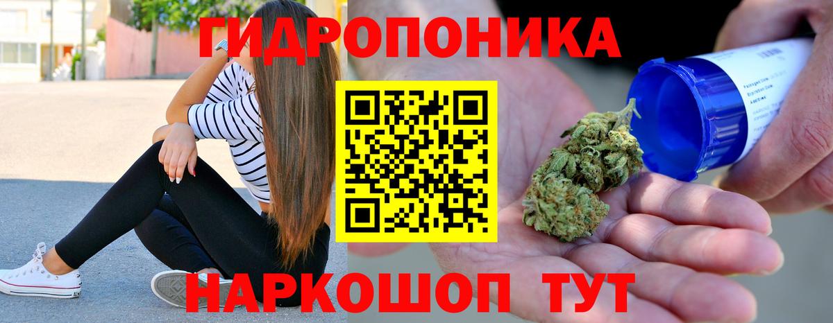 Конопля индика Ликино-Дулёво